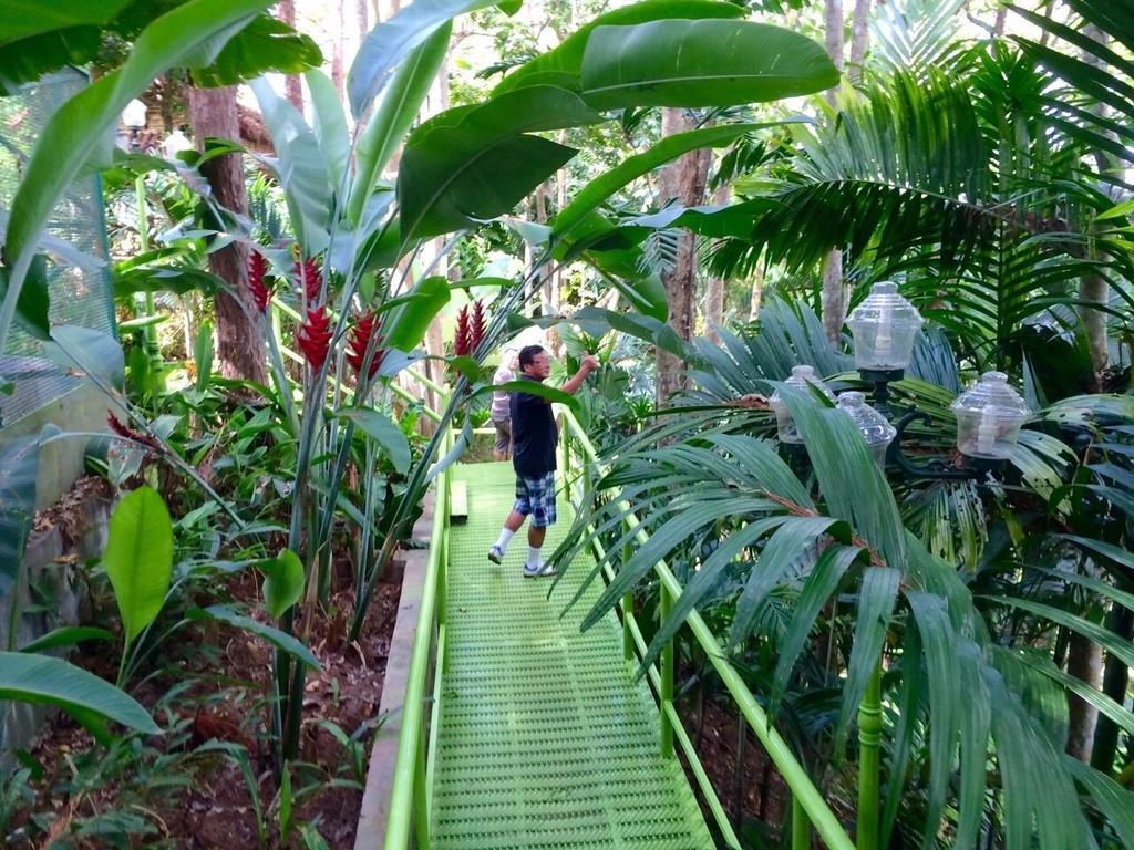 Phu Pha Nam Resort Dan Sai Екстериор снимка