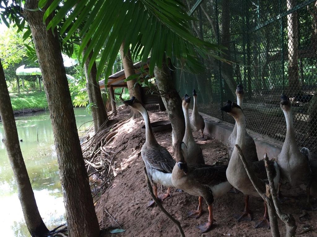 Phu Pha Nam Resort Dan Sai Екстериор снимка